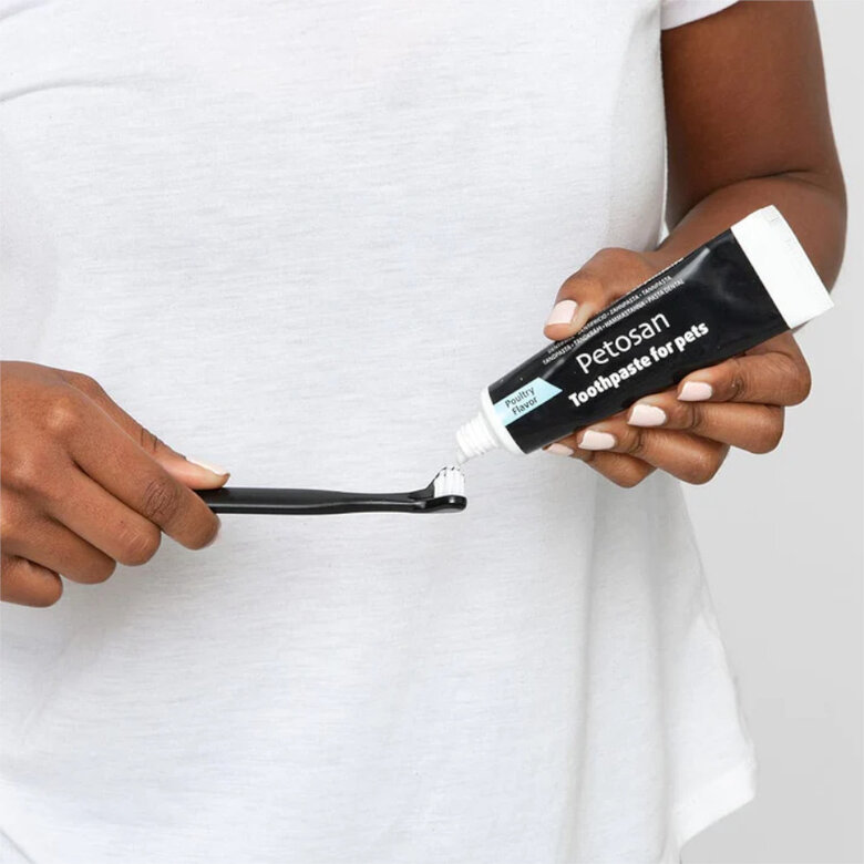 Petosan Kit dentário grande para cães e gatos,  Imagem número 4 Petosan Kit dentário grande para cães e gatos, , large Imagem número 4