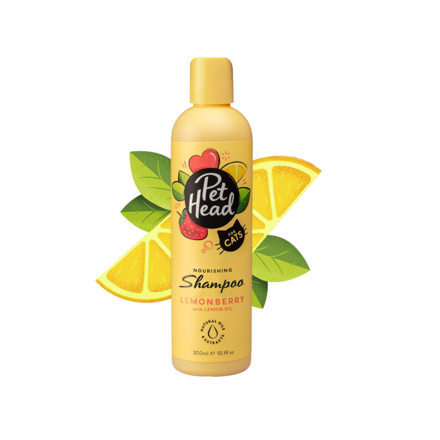 Pet Head Shampoo para gato 300ml, , large Imagem n&uacute;mero 1