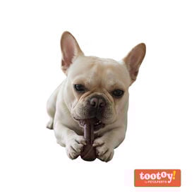 Tootoy! Chew Osso de bamboo para c&atilde;es