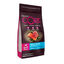 5 kg Wellness Core Adult Small Ocean Salmão e Atum ração para cães , , large Indicador imagem número 1