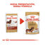 85 g Royal Canin Saquetas de Patê para Teckel, , large Indicador imagem número 3