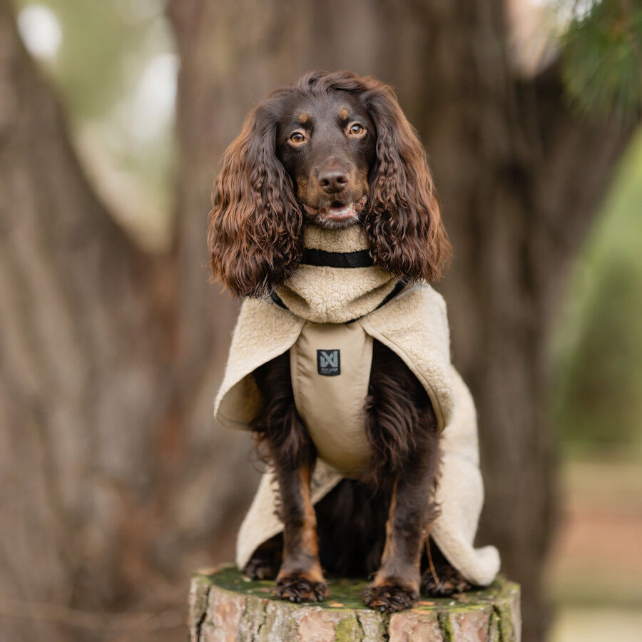 Non-stop Dogwear Casaco de L&atilde; em cor Areia para c&atilde;es, , large Imagem n&uacute;mero 4