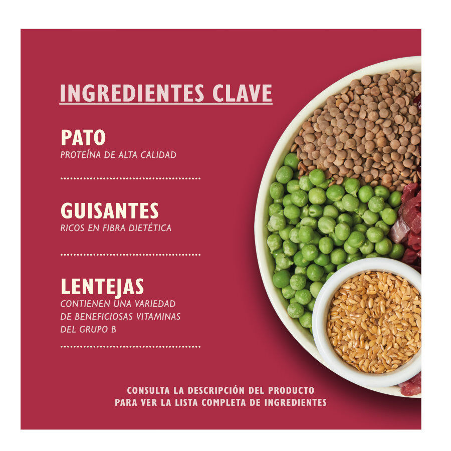 12 kg Lily's Kitchen Adult Veado e Pato ra&ccedil;&atilde;o para c&atilde;es, , large Imagem n&uacute;mero 2