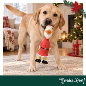 Wonder Christmas Frango L&aacute;tex Brinquedo para c&atilde;es