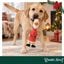 Wonder Christmas Frango L&aacute;tex Brinquedo para c&atilde;es, , large Indicador imagem n&uacute;mero 2