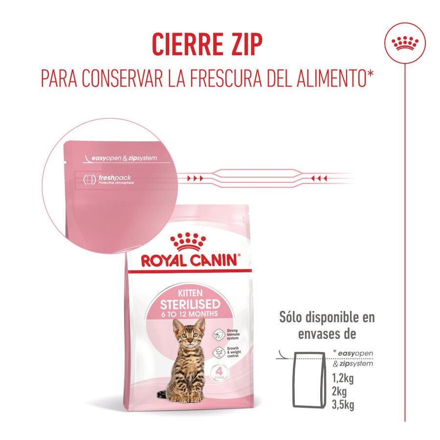 400 g Royal Canin Kitten Sterilised ra&ccedil;&atilde;o para gatos , , large Imagem n&uacute;mero 12