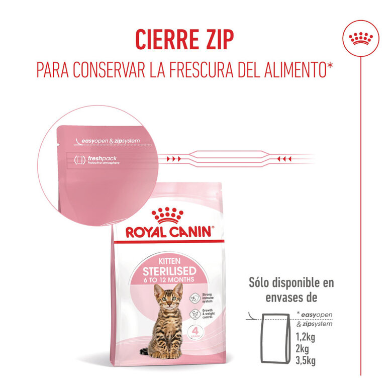 3.5 kg Royal Canin Kitten Sterilised ração para gatos ,  Imagem número 12 3.5 kg Royal Canin Kitten Sterilised ração para gatos , , large Imagem número 12