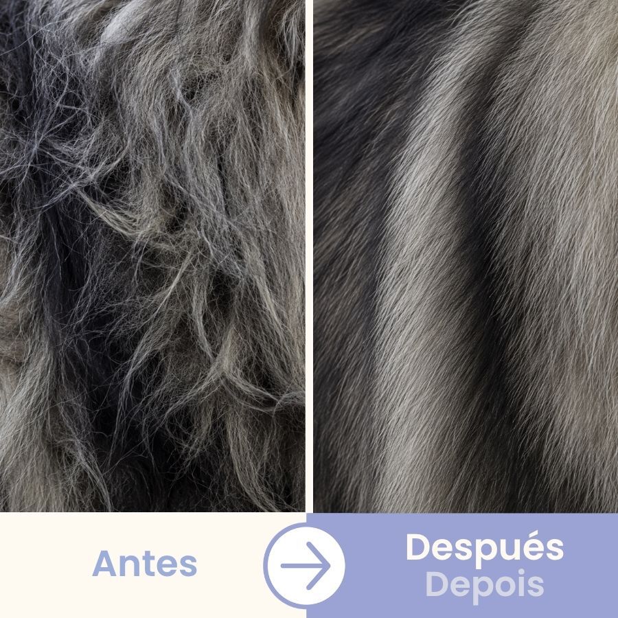 Bloob Pente de Dupla Fileira para c&atilde;es, , large Imagem n&uacute;mero 5