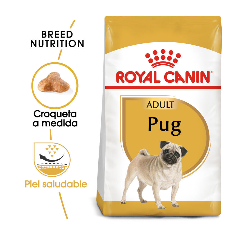 3 kg Royal Canin Adult Pug ra&ccedil;&atilde;o para c&atilde;es, , large Imagem n&uacute;mero 2