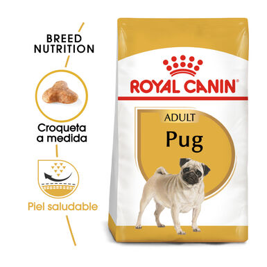 Royal Canin Adult Pug ração para cães