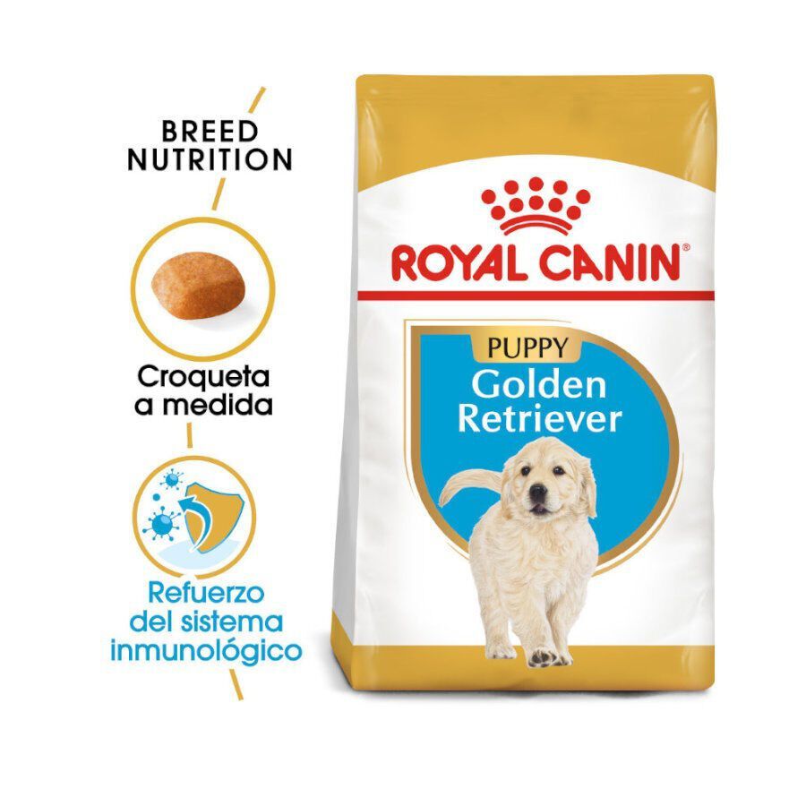 12 kg Royal Canin Puppy Golden Retriever ra&ccedil;&atilde;o para c&atilde;es, , large Imagem n&uacute;mero 2