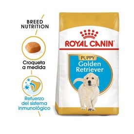 Royal Canin Puppy Golden Retriever ração para cães