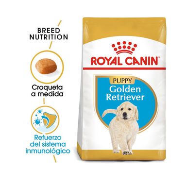 Royal Canin Puppy Golden Retriever ração para cães