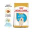 12 kg Royal Canin Puppy Golden Retriever ração para cães, , large Indicador imagem número 2