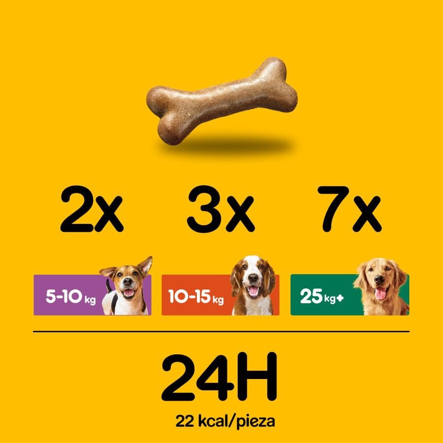 4 uds. x 500 g Pedigree Biscoitos Biscrock de 3 Sabores para C&atilde;es Pack poupan&ccedil;a!, , large Imagem n&uacute;mero 5
