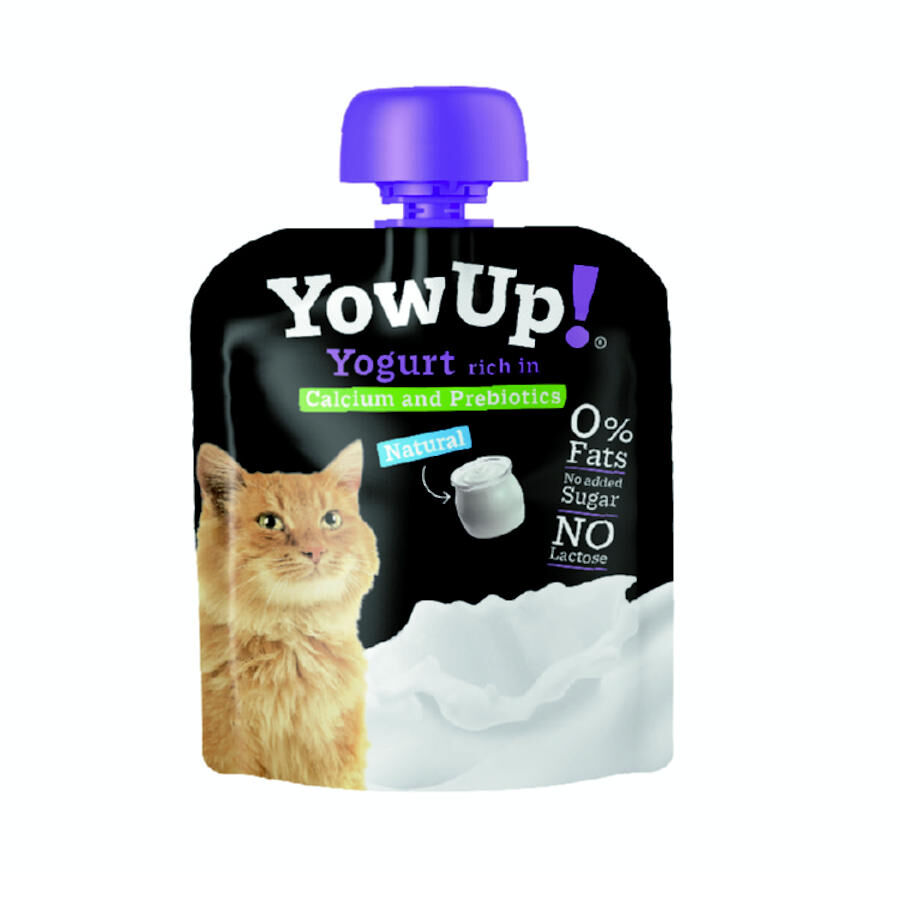 6 uds. x 85 g YowUp Iogurte Natural para gatos Pack poupan&ccedil;a!, , large Imagem n&uacute;mero 1