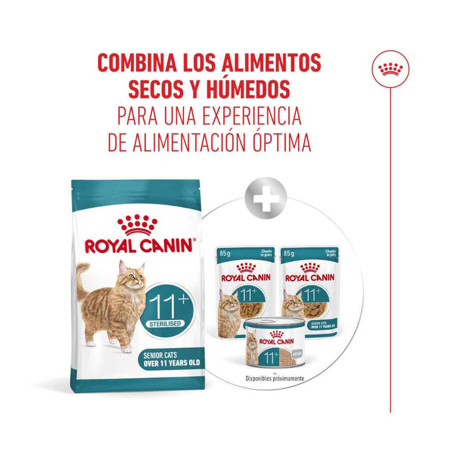 2 kg Royal Canin Ageing 11+ Sterilised ra&ccedil;&atilde;o para gatos, , large Imagem n&uacute;mero 12