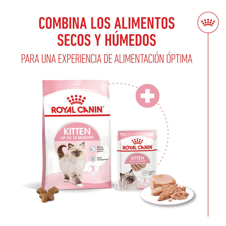 85 g Royal Canin Kitten patê em saquetas para gatos,  Imagem número 5 85 g Royal Canin Kitten patê em saquetas para gatos, , large Imagem número 5