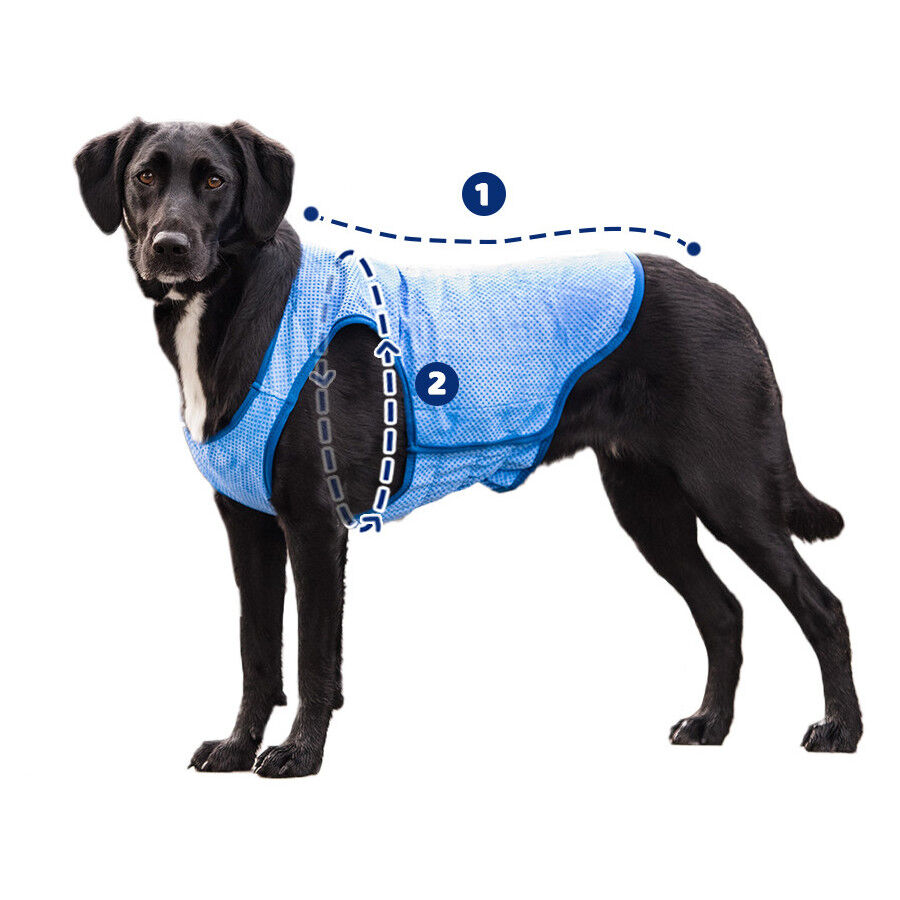 GF Pet ElastoFit Ice Vest Colete Refrescante para c&atilde;es, , large Imagem n&uacute;mero 7