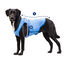 GF Pet ElastoFit Ice Vest Colete Refrescante para cães, , large Indicador imagem número 7