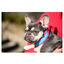 Freedog Cool Pro Tech Coleira Desportiva Fúscia para cães, , large Indicador imagem número 3