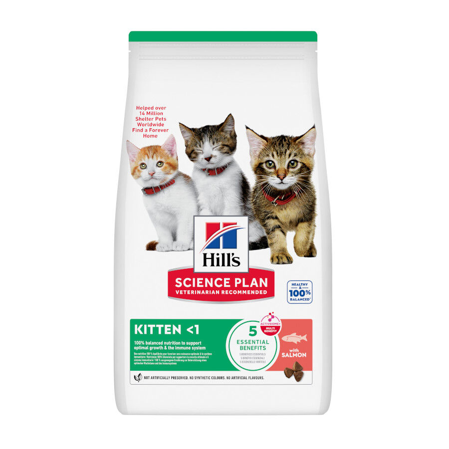 1.5 kg Hill's Science Plan Ra&ccedil;&atilde;o de salm&atilde;o para gatinhos, , large Imagem n&uacute;mero 1