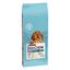 Dog Chow Puppy com cordeiro ração para cachorros, , large Indicador imagem número 1
