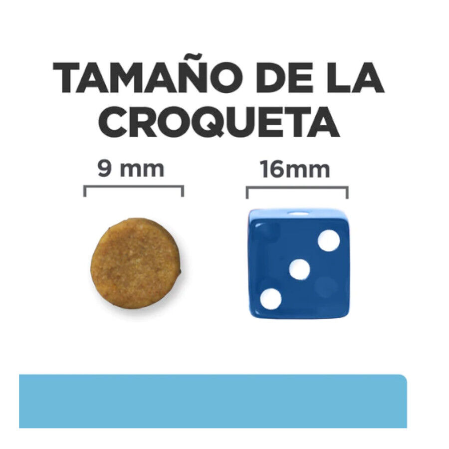 1.5 kg Hill's Prescription Diet Kidney Care k/d ra&ccedil;&atilde;o para gatos, , large Imagem n&uacute;mero 3