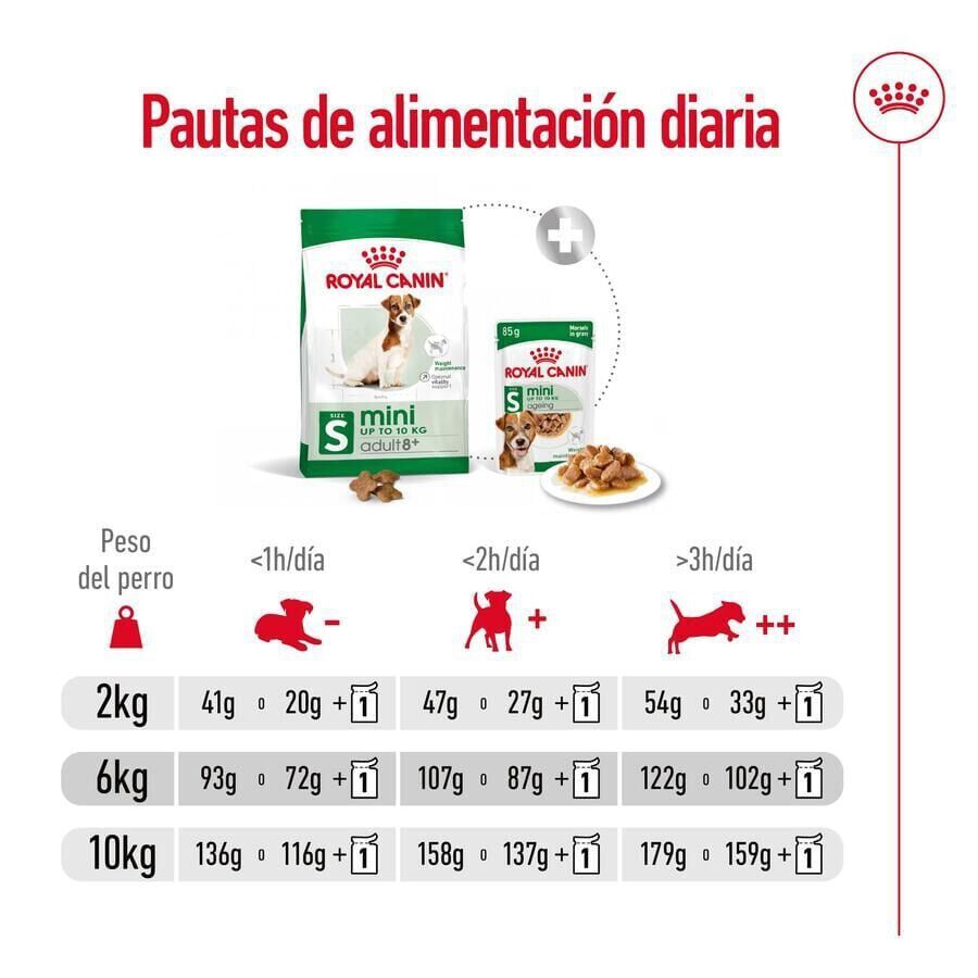 8 kg Royal Canin Mini 8+ Adult ra&ccedil;&atilde;o para c&atilde;es, , large Imagem n&uacute;mero 9