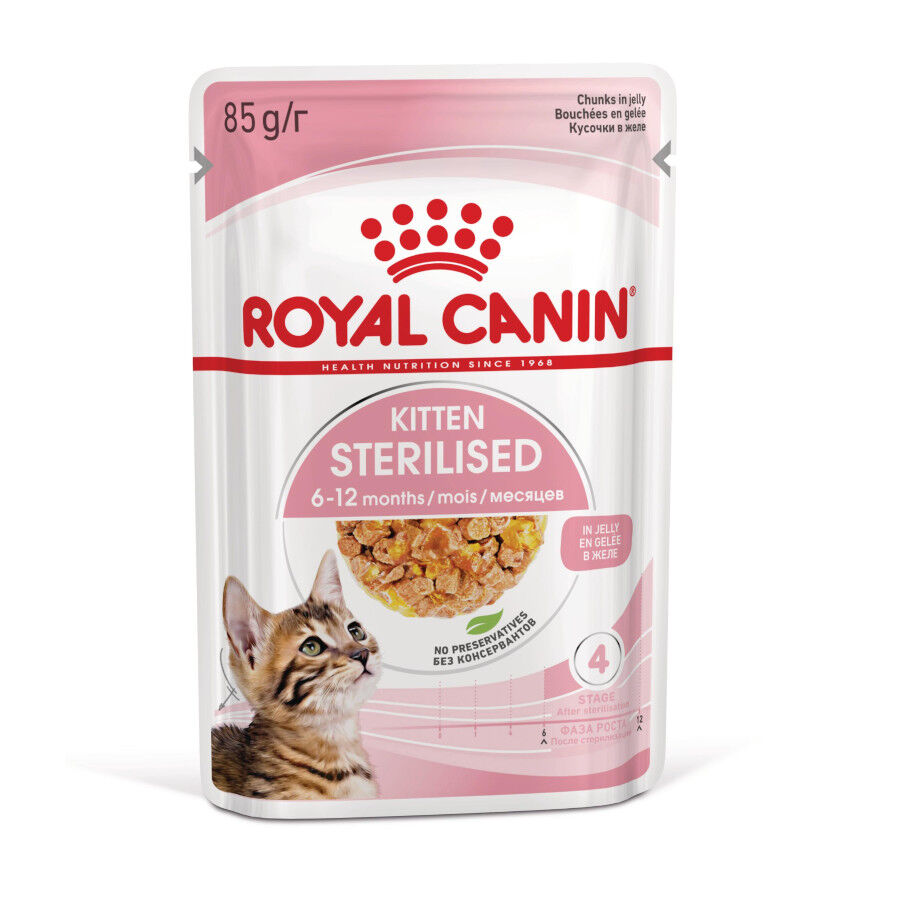 85 g Royal Canin Kitten Sterilised Saquetas de Gelatina para gatinhos, , large Imagem n&uacute;mero 1