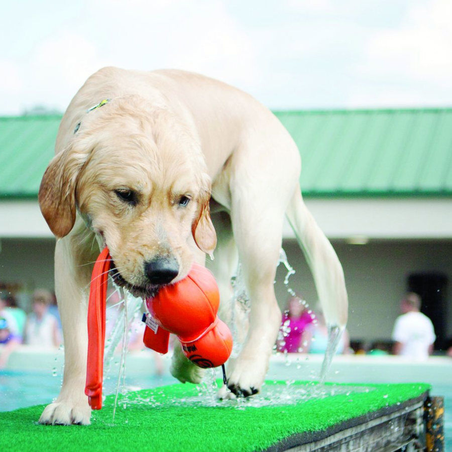 Kong Wubba Brinquedo Aqu&aacute;tico para c&atilde;es, , large Imagem n&uacute;mero 2