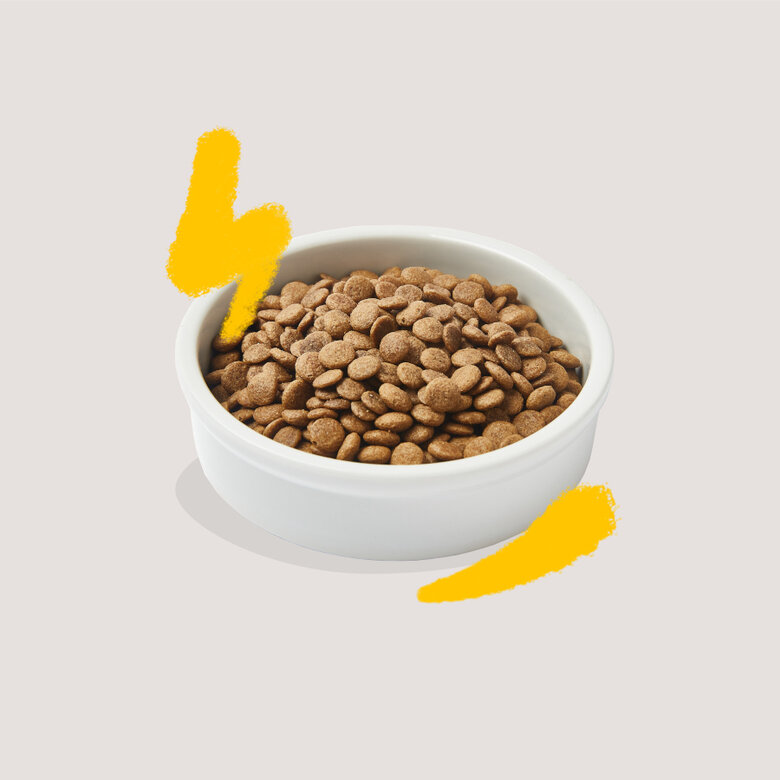 2 kg Edgard & Cooper Adult Ração de peru e frango para gatos ,  Imagem número 3 2 kg Edgard & Cooper Adult Ração de peru e frango para gatos , , large Imagem número 3