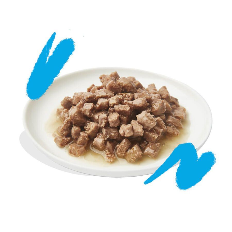 85 g Edgard & Cooper Adult Alimento h&uacute;mido de salm&atilde;o e frango em lata para gatos   , , large Imagem n&uacute;mero 2