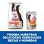 363 g Hill's Adult Science Plan Perfect Digestion frango ração para cães, , large Indicador imagem número 4