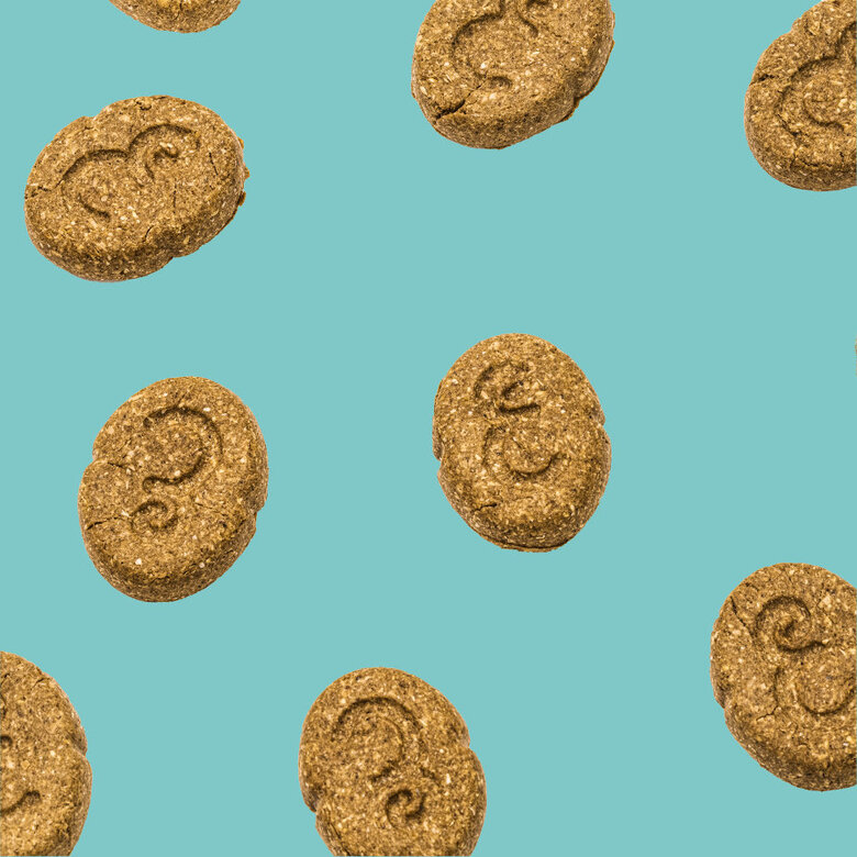 400 g Edgard & Cooper Festive Biscoitos de peru e pato para cães ,  Imagem número 4 400 g Edgard & Cooper Festive Biscoitos de peru e pato para cães , , large Imagem número 4