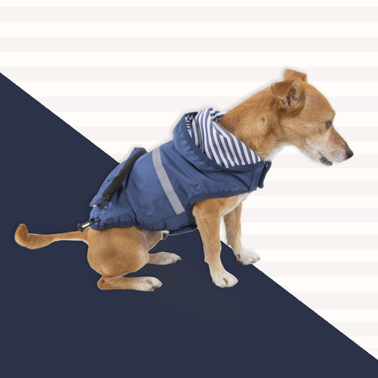 Outech Capa de chuva azul-marinho com bolso para cães,  Imagem número 4 Outech Capa de chuva azul-marinho com bolso para cães, , large Imagem número 4