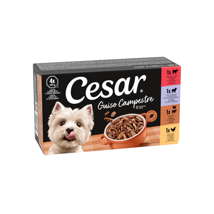 4 terrinas x 150 g Cesar Receita camponesa terrina em molho para c&atilde;es - Multipack, , large Imagem n&uacute;mero 1