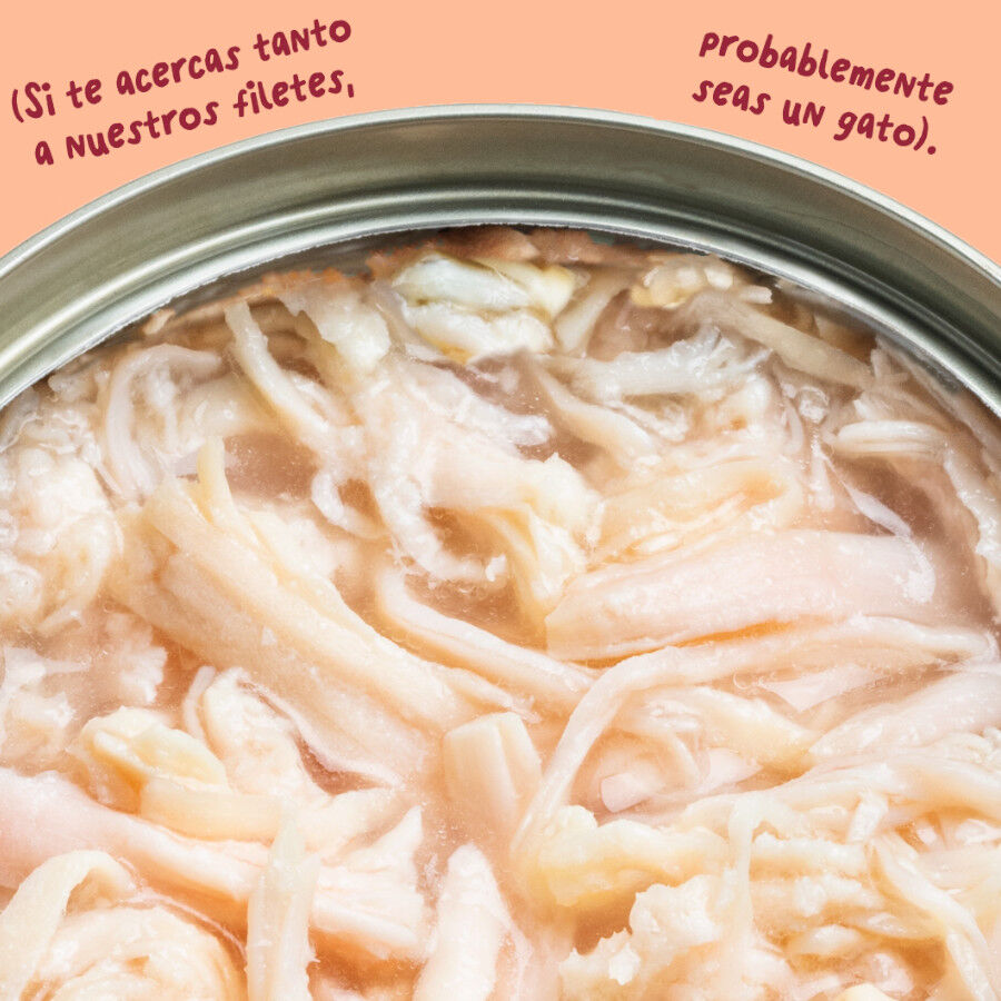 70 g Edgard & Cooper Filetes de Pollo Lata para gatos, , large Imagem n&uacute;mero 5