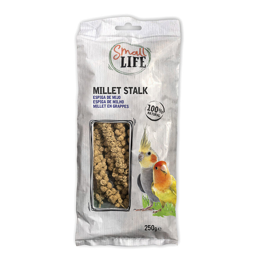 Small Life panizo en espiga para p&aacute;jaros Imagem n&uacute;mero 1