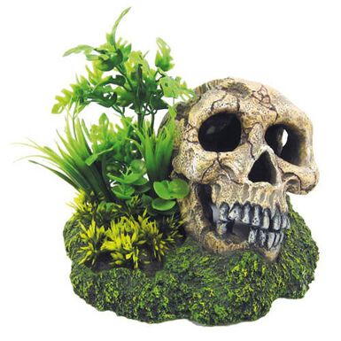 Croci Plantas Artificiales com Caveira de Decoração para aquários
