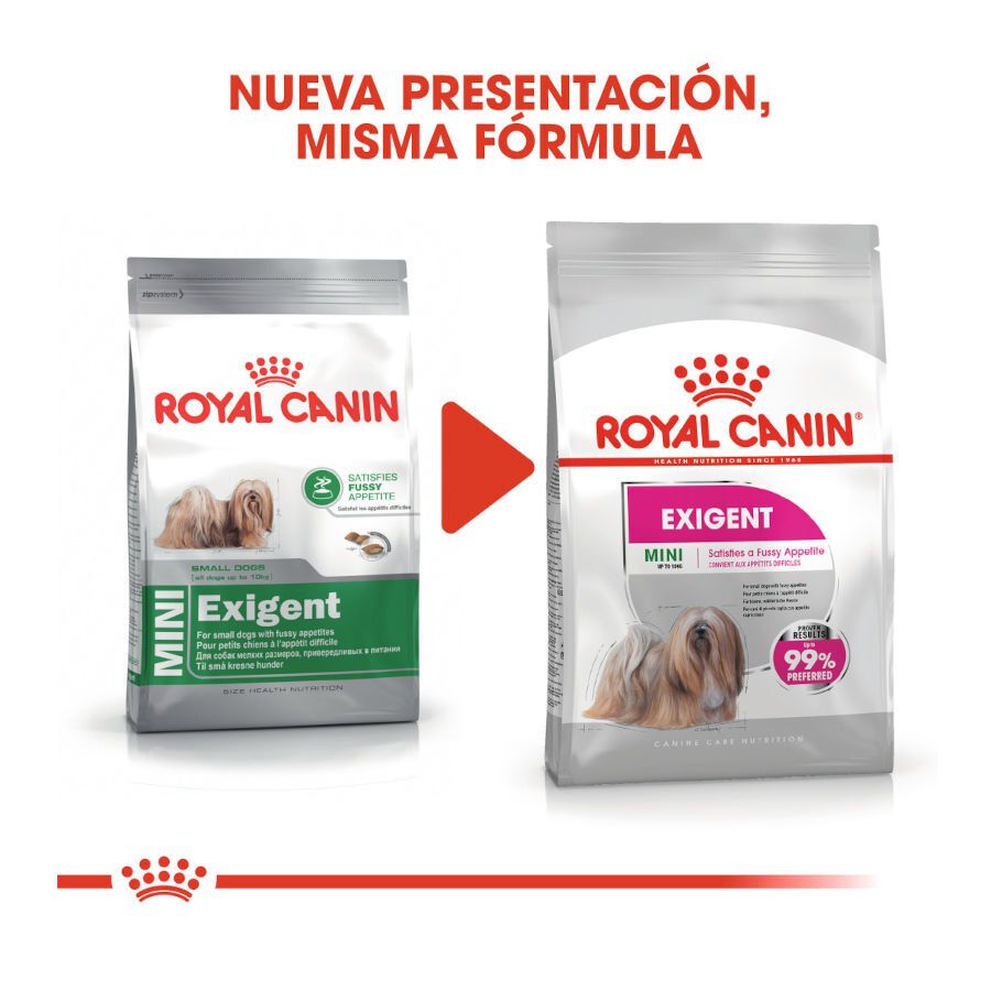 3 kg Royal Canin Exigent Mini ra&ccedil;&atilde;o para c&atilde;es, , large Imagem n&uacute;mero 3