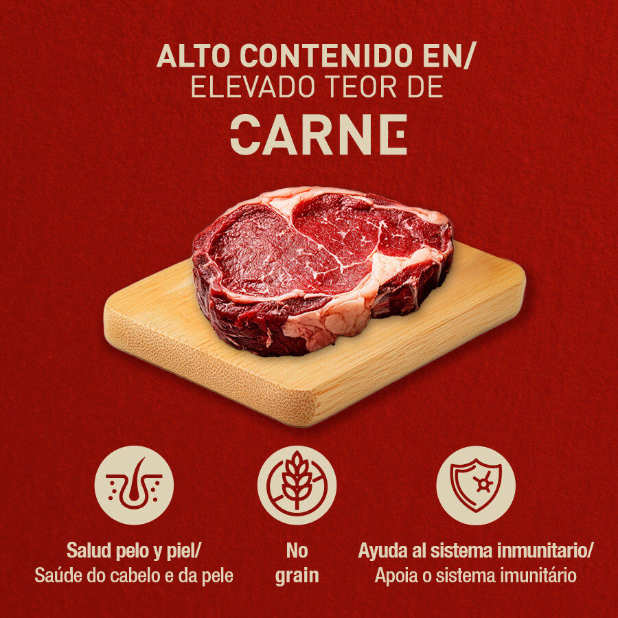 400 g Catxtreme com Borrego em pat&ecirc; lata para gatos, , large Imagem n&uacute;mero 3