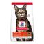 10 kg Hill's Adult Science Plan Cordeiro ração para gatos, , large Indicador imagem número 1