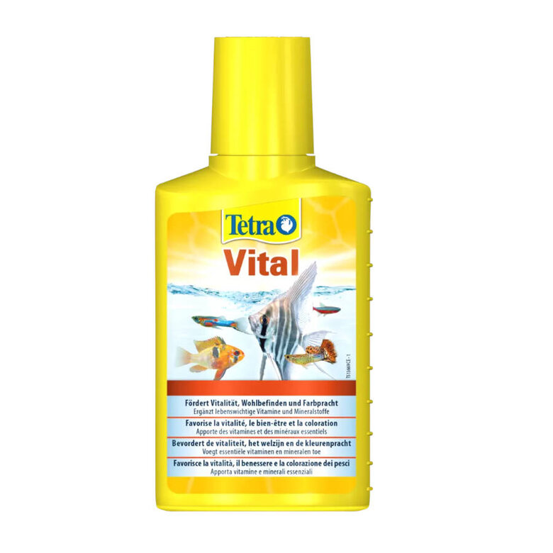 Tetra Vital suplemento nutricional para peixes,  Imagem número 1 Tetra Vital suplemento nutricional para peixes, , large Imagem número 1