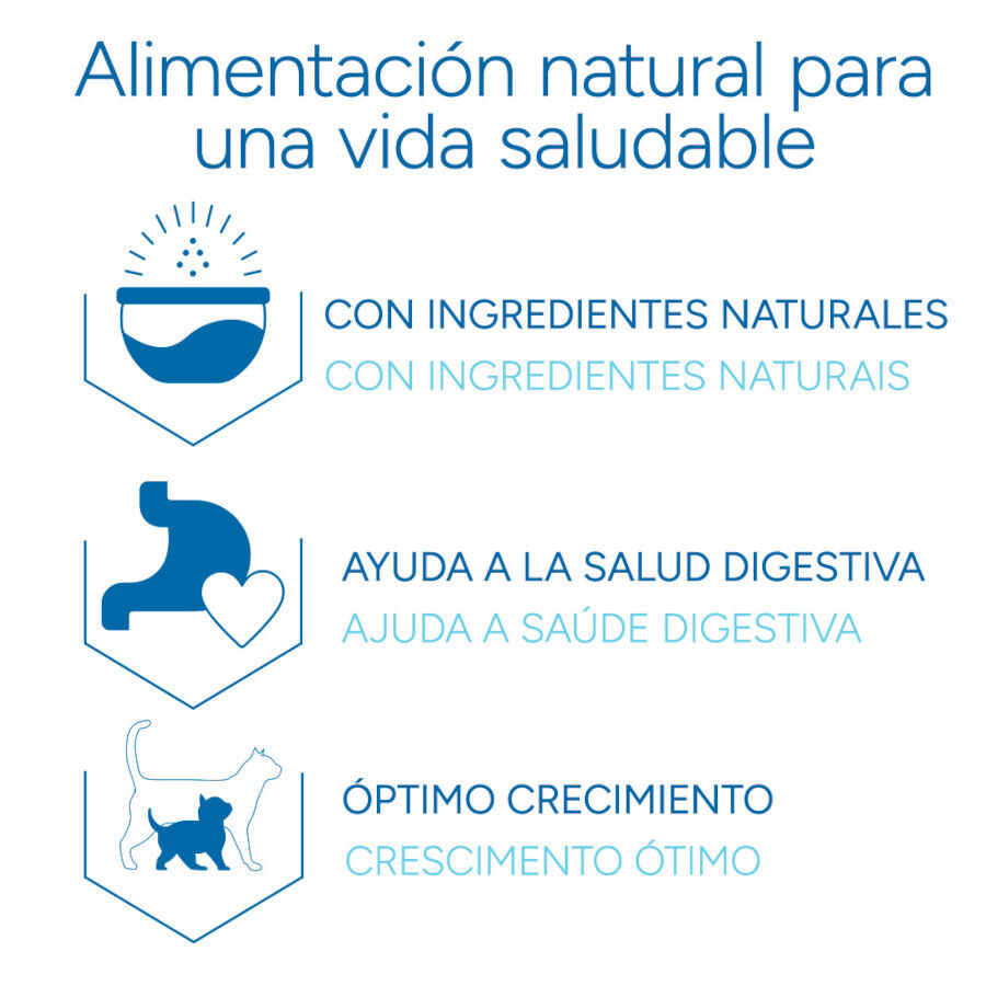 Criadores Cient&iacute;fico Kitten Ra&ccedil;&atilde;o de frango para gatinhos, , large Imagem n&uacute;mero 6