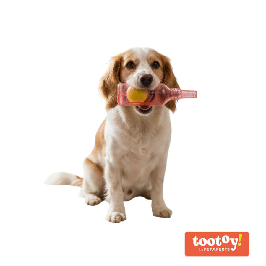 Tootoy! Chew Mordedor garrafa pequena para c&atilde;es, , large Imagem n&uacute;mero 3