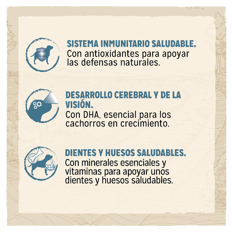 Dog Chow Puppy com frango ração para cachorros.,  Imagem número 2 Dog Chow Puppy com frango ração para cachorros., , large Imagem número 2
