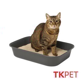 TK Pet Caixa de areia básica para gatos