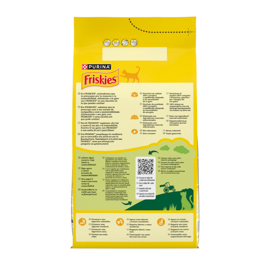 4 kg Purina Friskies Ra&ccedil;&atilde;o para Gato Adulto com Salm&atilde;o e Legumes, , large Imagem n&uacute;mero 8