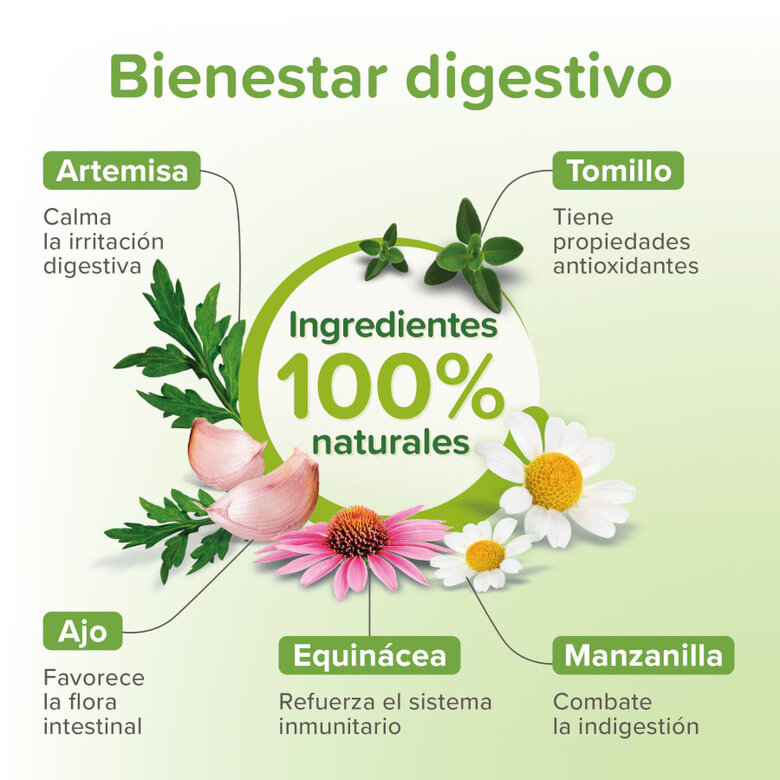 Beaphar desparasitante interno natural para cães,  Imagem número 3 Beaphar desparasitante interno natural para cães, , large Imagem número 3